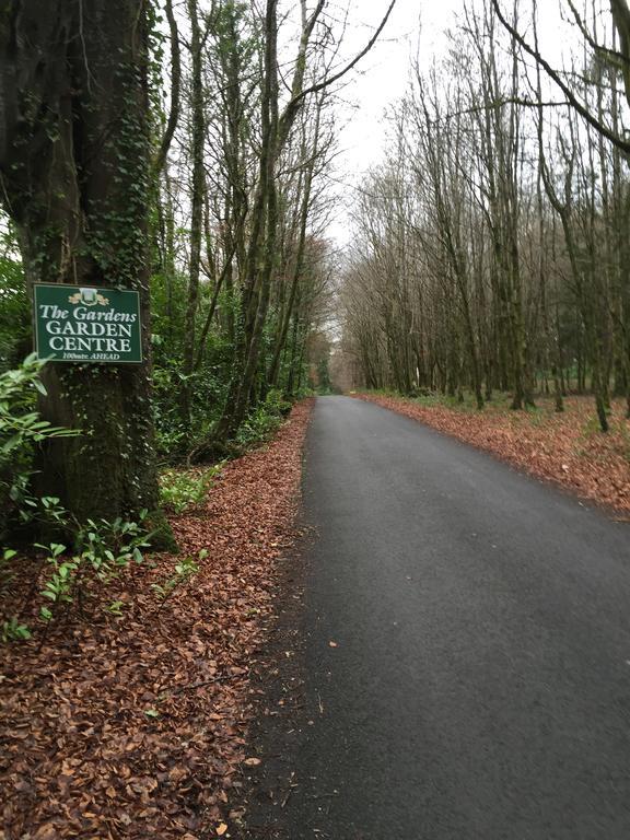 Leitrim Inn Carrick on Shannon Eksteriør billede